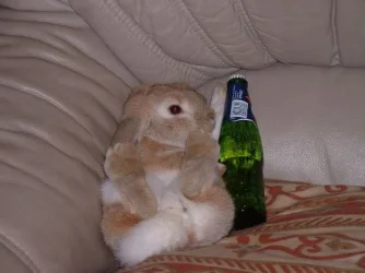 legless_rabbit1.webp legless_rabbit1.webp