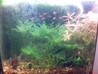 15g_Nov_25_after_Vacation.webp