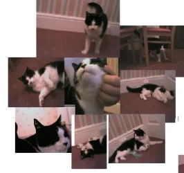 katie_all_round.webp
