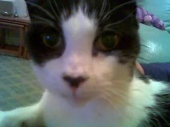 Image002.webp