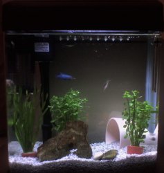 tank2.JPG