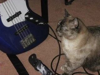 Web_phoebe_and_guitar1.webp