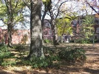 Web_Harding_campus.webp
