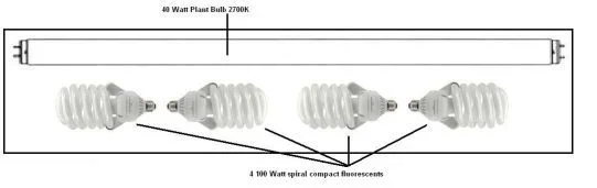 combo_light_1.webp combo_light_1.webp