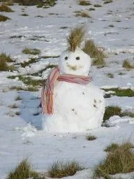 snowman.webp