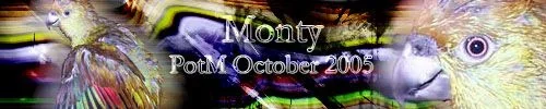 monety.webp