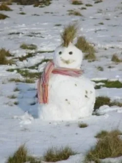 snowman.webp