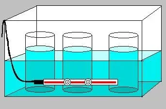 untitled.webp