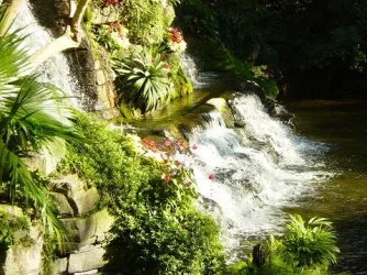 DSC03507.webp