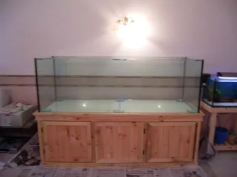 RIMG0127.webp RIMG0127.webp