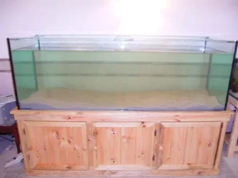 RIMG0128.webp RIMG0128.webp