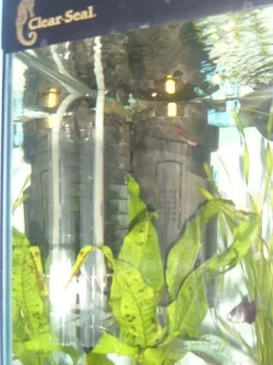 DSCF2986.webp