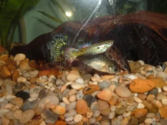 DSCF2989.webp
