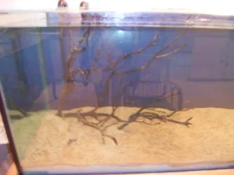 RIMG0131.webp RIMG0131.webp