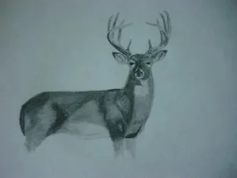 deerpencil.webp