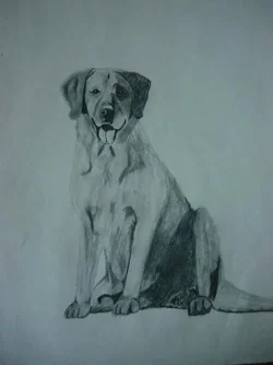 dogpencil.webp