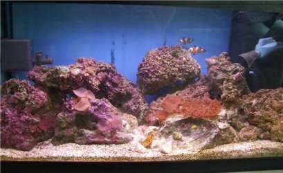 SW_220705.jpg