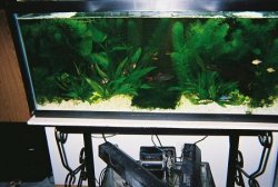 30gtank2.JPG 30gtank2.JPG