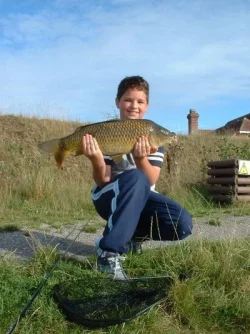 carp_2.webp