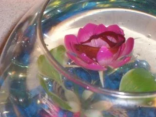 100_0354.webp