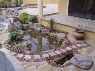 pond_planted_1.webp