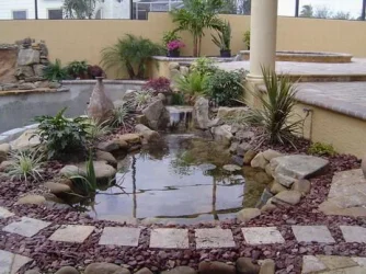 pond_planted_2.webp