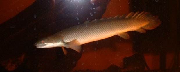 DSCF0221.JPG DSCF0221.JPG