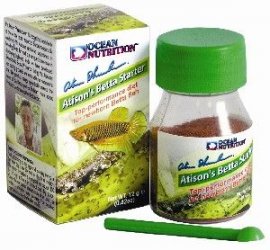 Starter2.JPG Starter2.JPG