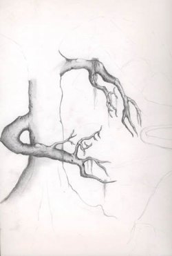 freaky_tree.jpg