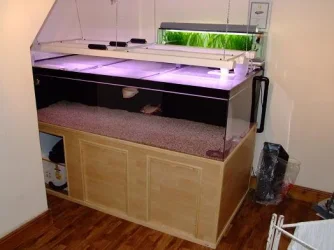 Picture_004.webp