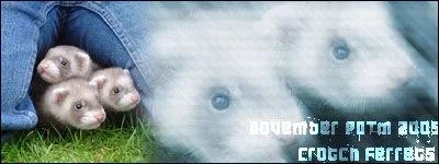 potm_nov_05.webp