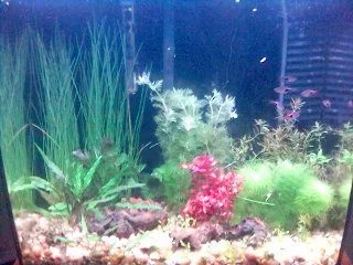 Jan_28_redo_of_15g.webp