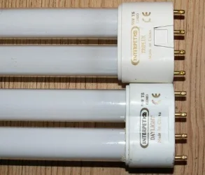 Tubes.webp