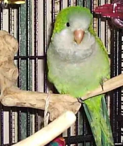 Mushe_1st_photo_edited.webp