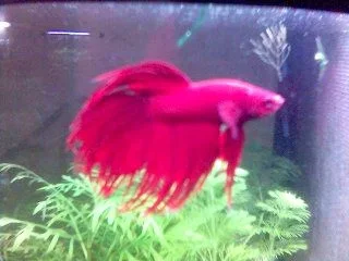 Bettter_Loge_picture.webp