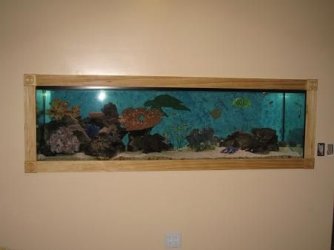 IMG_0603.JPG IMG_0603.JPG