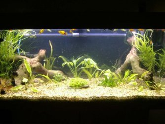 191622.JPG 191622.JPG