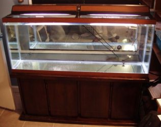 03lights.jpg 03lights.jpg