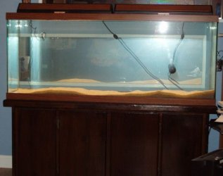 04sand.jpg 04sand.jpg