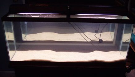 05sandlights.jpg 05sandlights.jpg