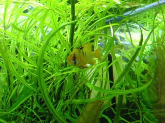 195742.JPG 195742.JPG