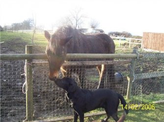 140206_charlie_and_ry.jpg