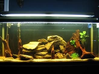 New_55_Start.jpg New_55_Start.jpg