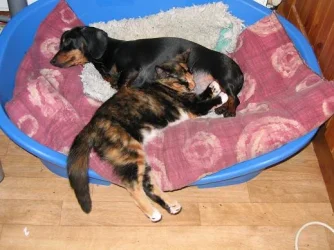 Mia_and_tia_002.webp
