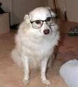 images3.webp