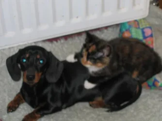 Tia_and_Mia_003.webp