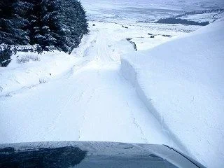 snow.webp