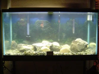 90_gallon.webp