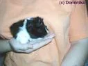 images.webp