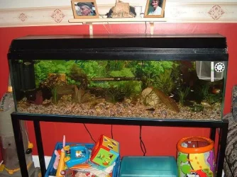 DSCF1829.webp